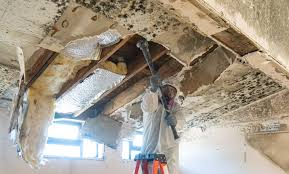 Best Asbestos and Lead Testing During Mold Inspection  in Samsula Spruce Creek, FL